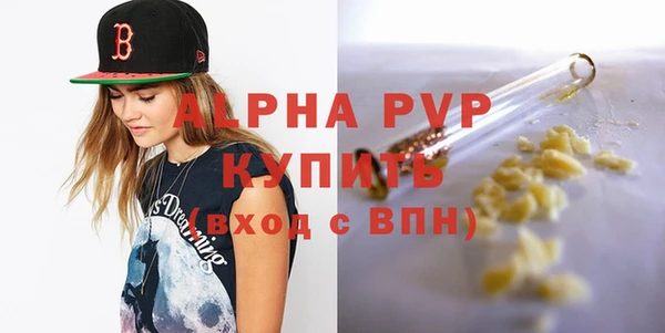 индика Воткинск