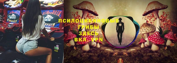 PSILOCYBIN Пересвет