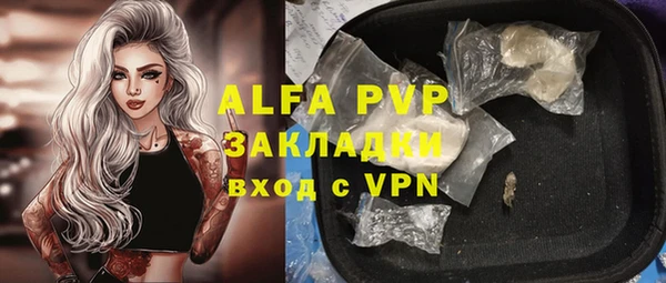 PSILOCYBIN Пересвет